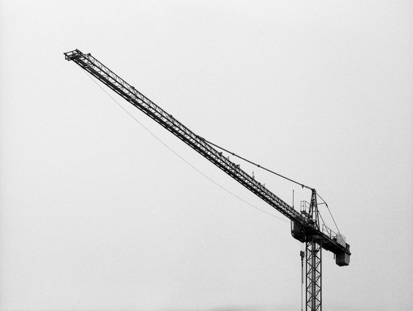 Crane #1